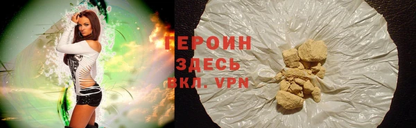 гидра Ельня