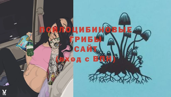 амф Елизово