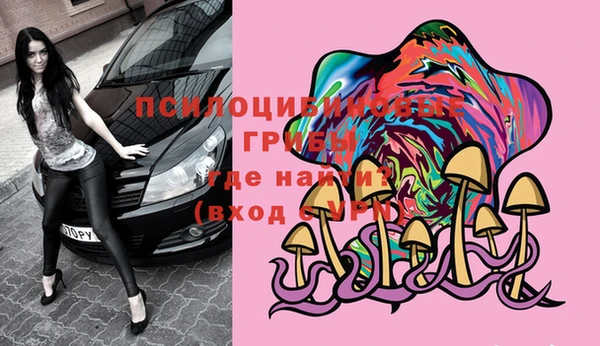 гидра Ельня