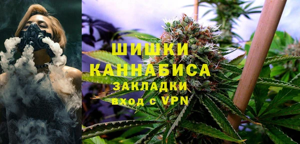 твердый Заводоуковск