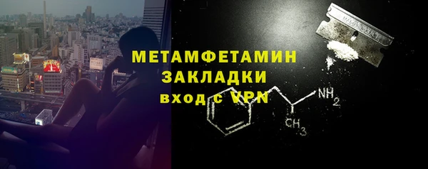 гидра Ельня