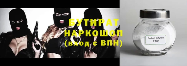 гидра Ельня