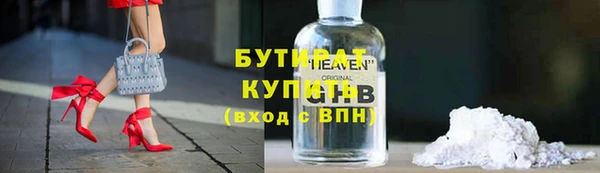 гидра Ельня