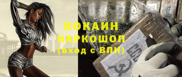 гидра Ельня