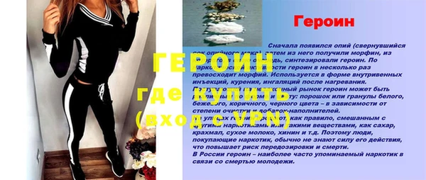 гидра Ельня