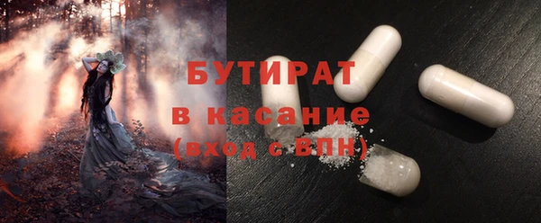 гидра Ельня