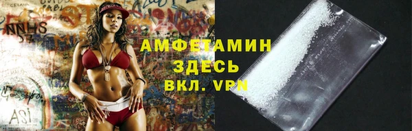 амф Елизово
