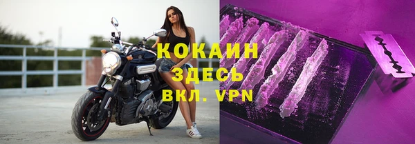 амф Елизово