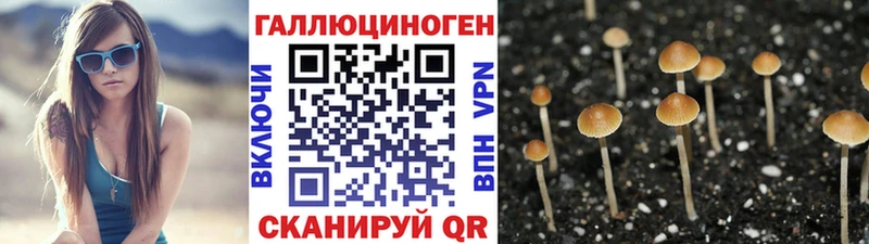 Купить  Лукоянов  Псилоцибиновые грибы мухоморы 